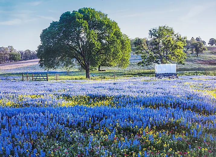 Texas Hill Country is a 25-county region of Central Texas and South Texas. 