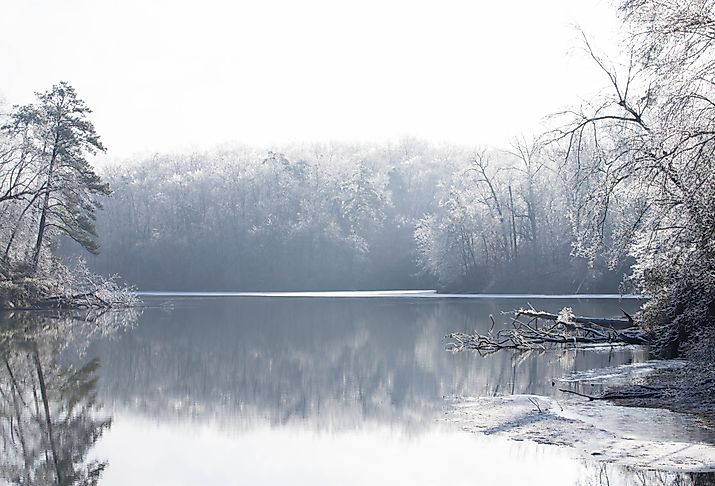 Frozen trees on a lake in Williamsburg, Virginia.