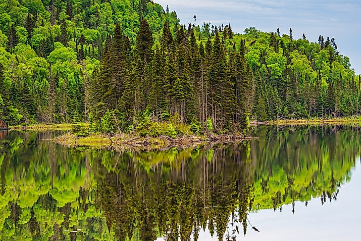 Lake in Nipigon Ontario Canada showing scenic view of Cedar Pine forest