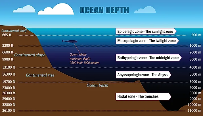 The layers of the ocean. 