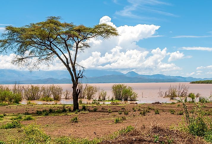 Lake Abaya near Arba Minch in Nechisar, Ethiopia.