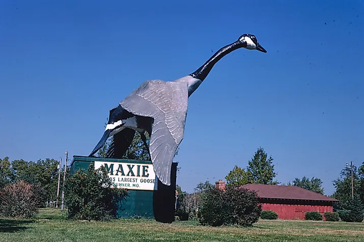 Maxie-world's largest goose, Sumner, Missouri. Image credit: John Margolies by Rawpixel.