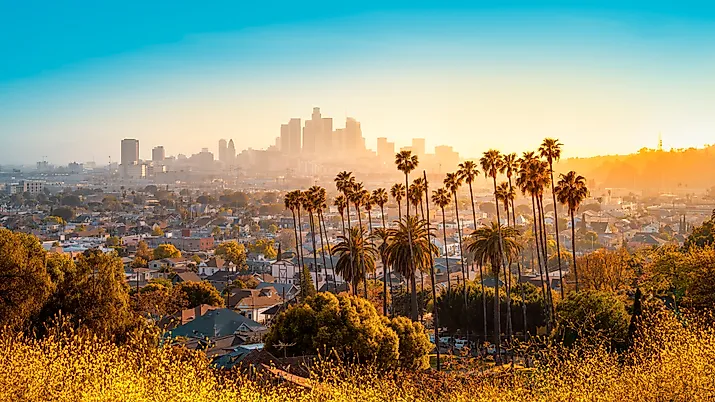 The skyline of Los aAngeles during sunset. 