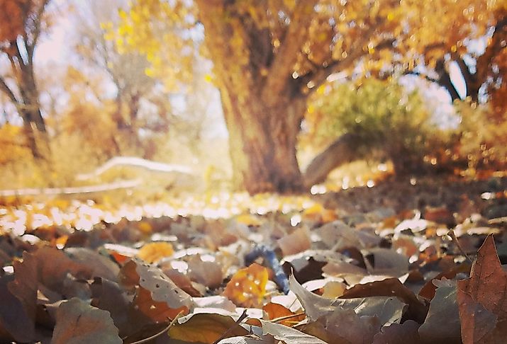 Fall view in Dayton, Nevada. Editorial credit: Brenda Daly / Shutterstock.com