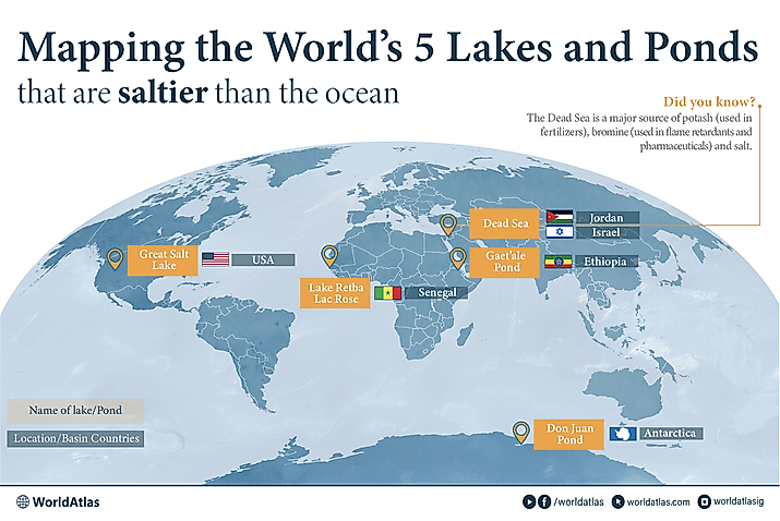 infographic showing 5 Bodies of Water That Are Saltier Than the Ocean