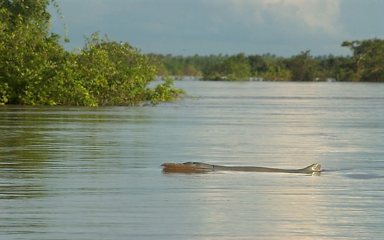 #7 Greater Mekong