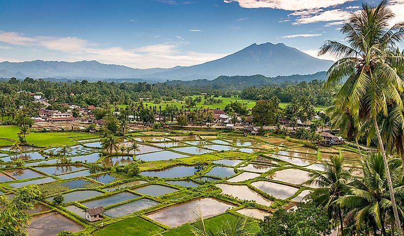 Which Country Is Sumatra In?