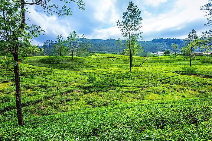 What Was Ceylon?