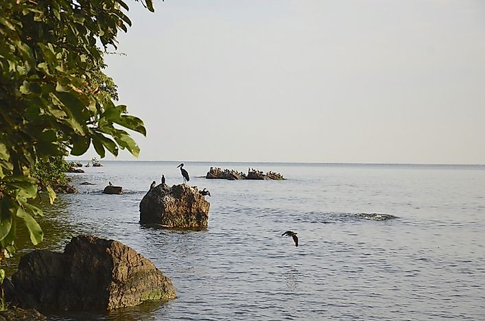 How Big Is Lake Victoria?