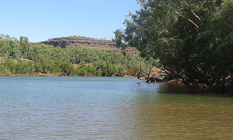 #3 Victoria River (Northern Territory)