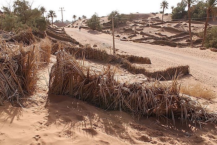 What is Desertification?
