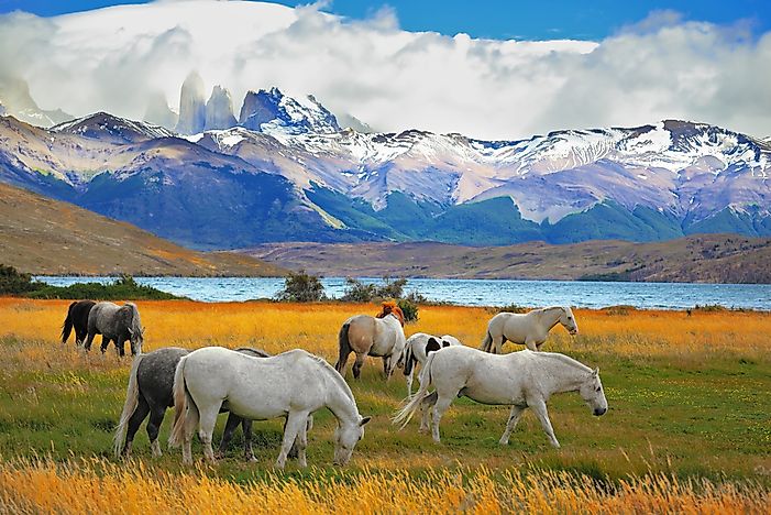 #6 Torres del Paine National Park, Chile/Argentina