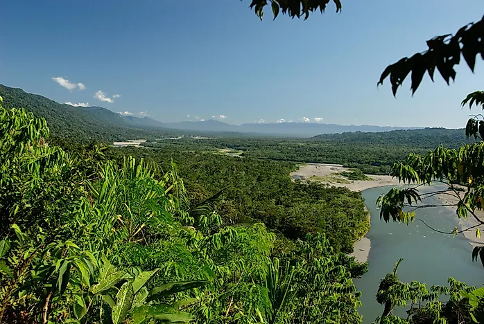 Manu National Park, Peru