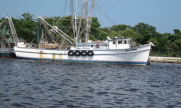 #1 Things To See And Do At The Amelia Island -