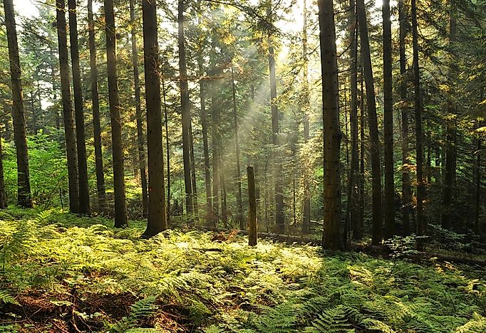 #20 Bieszczady National Park