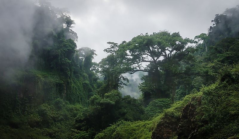 What Type Of Climate Does Cameroon Have?