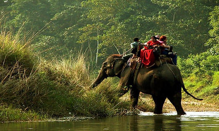 #19 Chitwan National Park -