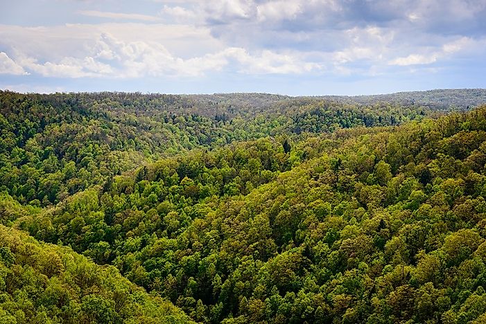 The Cumberland Plateau - Unique Places In The U.S.A.