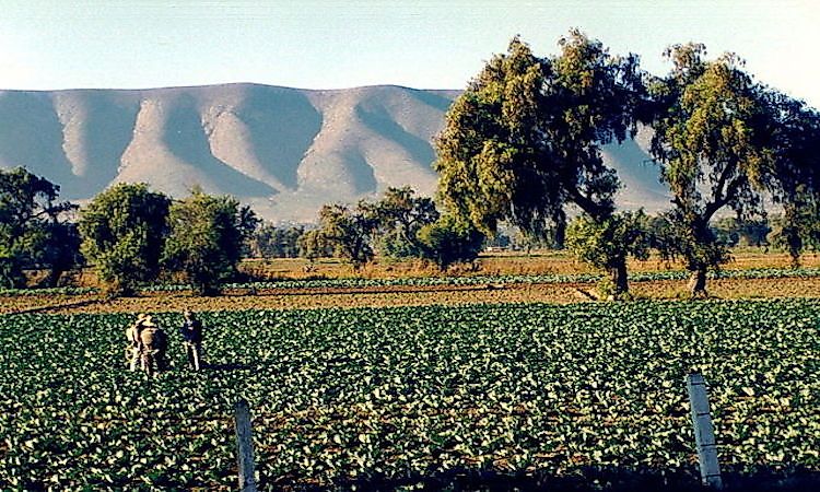 The Economy Of Mexico