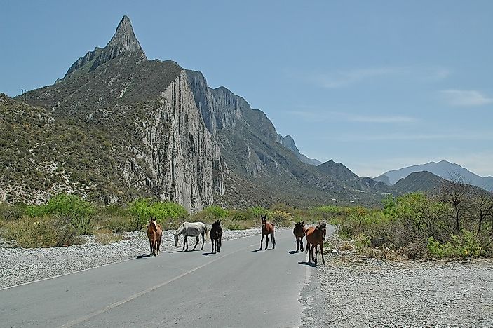 Biggest National Parks In Mexico