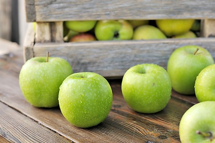 #7 Granny Smith