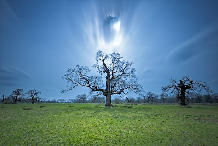 #3 Wielkopolska National Park