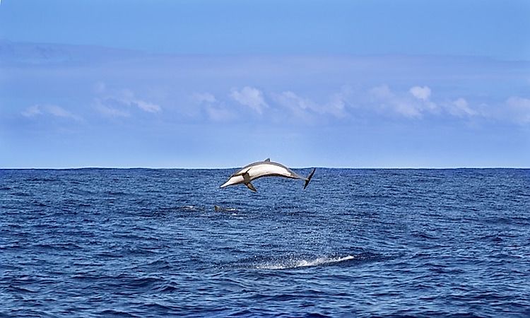 #3 Indian Ocean -