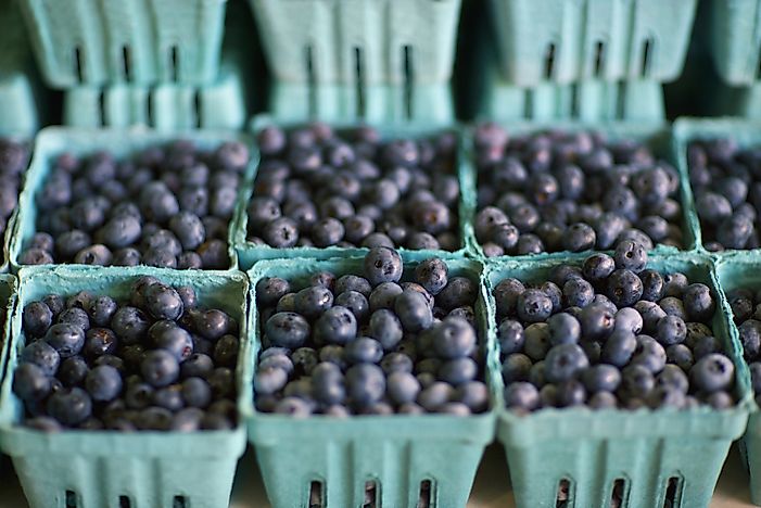#2 Georgia - 92 Million Pounds of Blueberries Produced