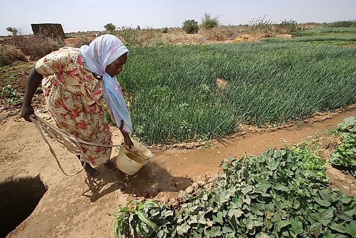 10 Worst Countries For Raising Cereal Grain Crops