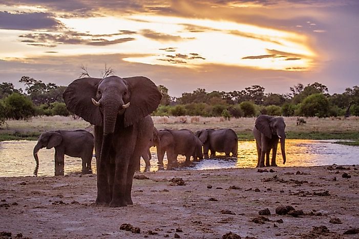Ecological Regions Of Botswana