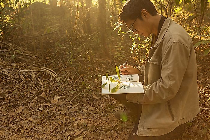 What is a Botanist?