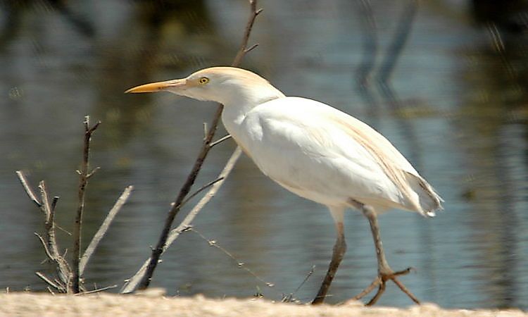 #7 Amistad National Recreation Area -