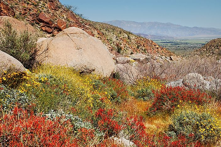 The 36 National Natural Landmarks of California