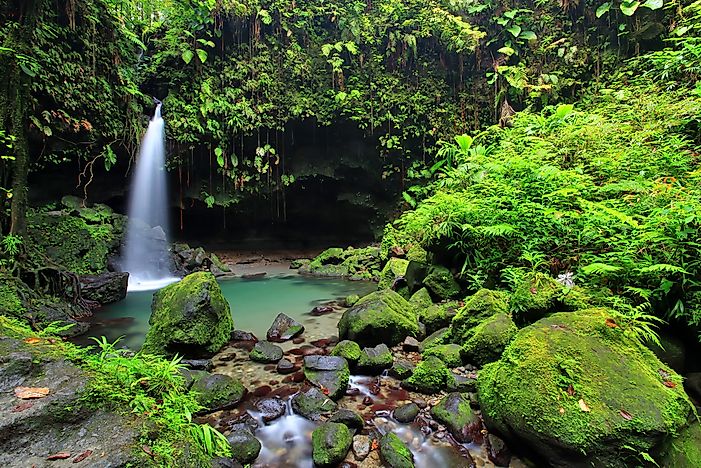 A waterfall in Dominica. A waterfall in Dominica.