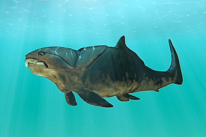 #2 Dunkleosteus