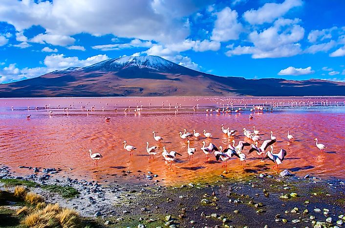 #9 Lake Colorada, Bolivia