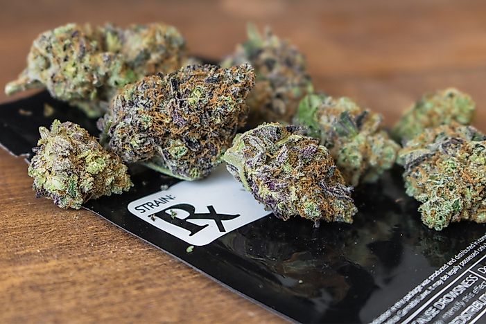 Medical Marijuana Uses