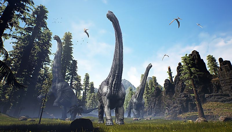 Alamosaurus used its long neck to browse the ground for food.