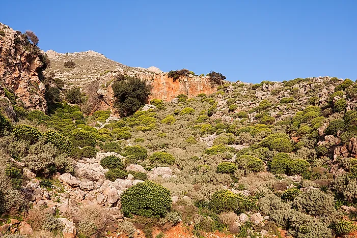 Phrygana shrubland ecoregion in Crete, Greece.