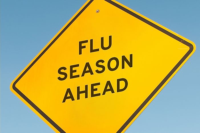 The Flu Shot