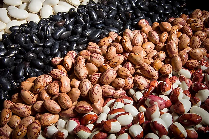 The World's Top Dry Bean Producing Countries
