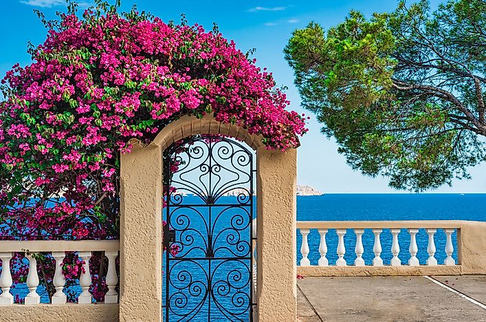 What is a Mediterranean Climate?