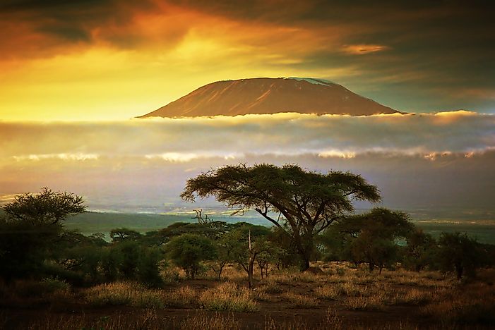8-Year Old Youngest Girl to Ever Climb Mount Kilimanjaro