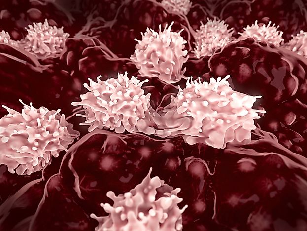 What is Stem Cell Research?