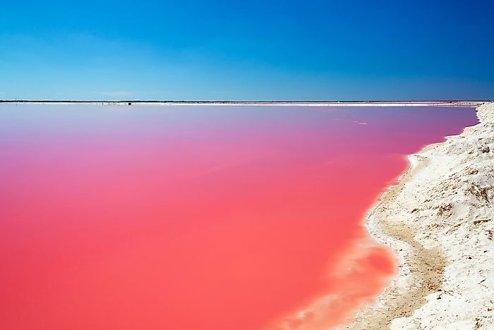 Risultati immagini per las coloradas pink lake