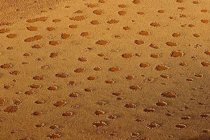 What Are Fairy Circles, And Why Do They Occur?