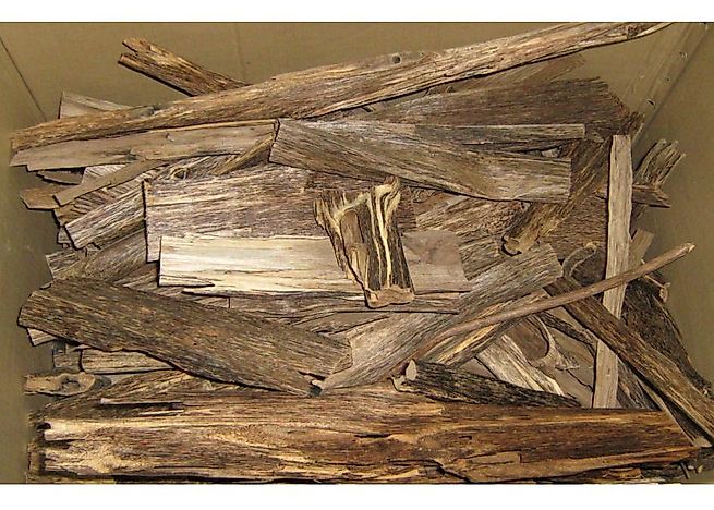 Illegal Agarwood Seizures By Source And Destination Countries