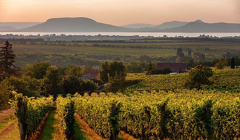 What Are The Biggest Industries In Hungary?