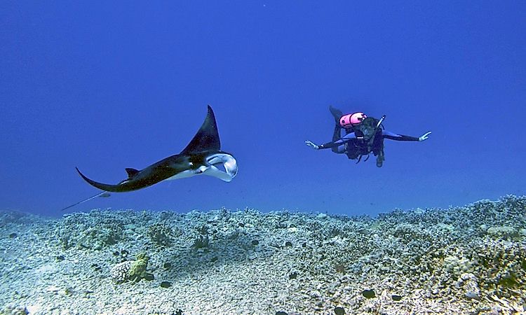 #2 Habitat and Biodiversity -