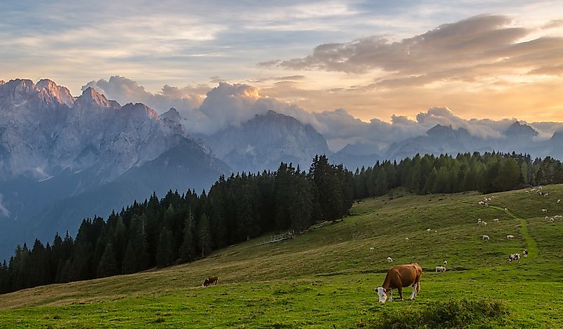 Where Are The Julian Alps?